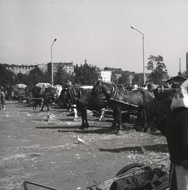 Targ rolny na Placu Grunwaldzkim