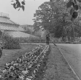 szklarnie w ogrodzie botanicznym