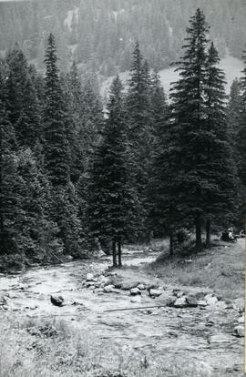 Tatry