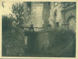 Zamek Świny