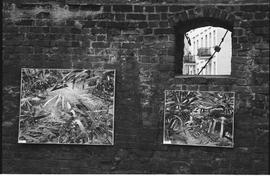 Okręgowa Wystawa Plastyki 1988