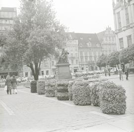 Wrocławskie Święto Kwiatów