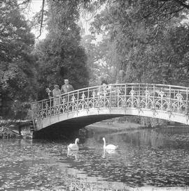 Park Szczytnicki
