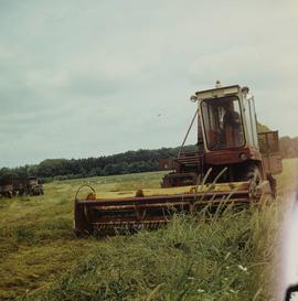 Sieczkarnia samobieżna Z-310