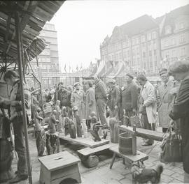 Prasołki czyli Wrocławskie Targi Solne