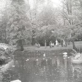 Park Szczytnicki we Wrocławiu