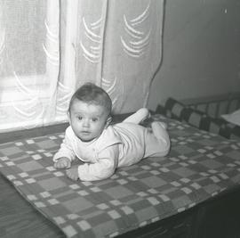 Dziecko na kocu