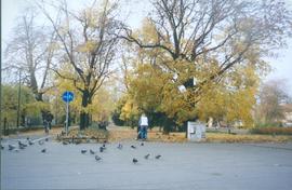 Promenada Staromiejska